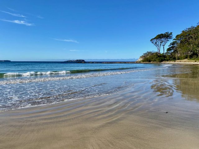 Dog-friendly beaches NSW - Wimbie Beach