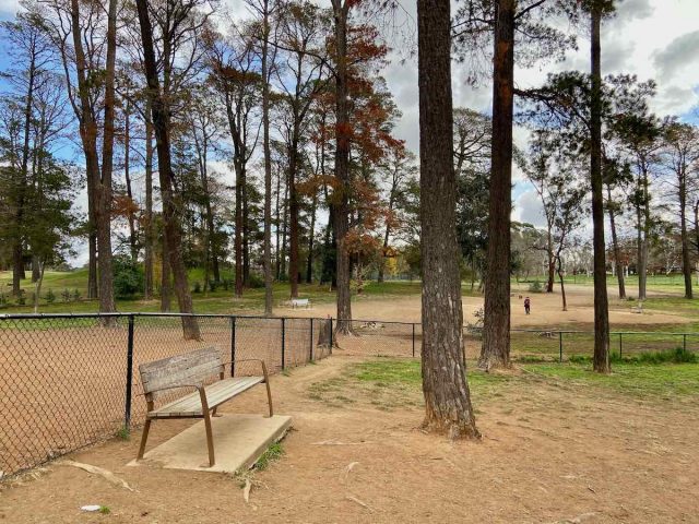 Yarralumla Dog Park