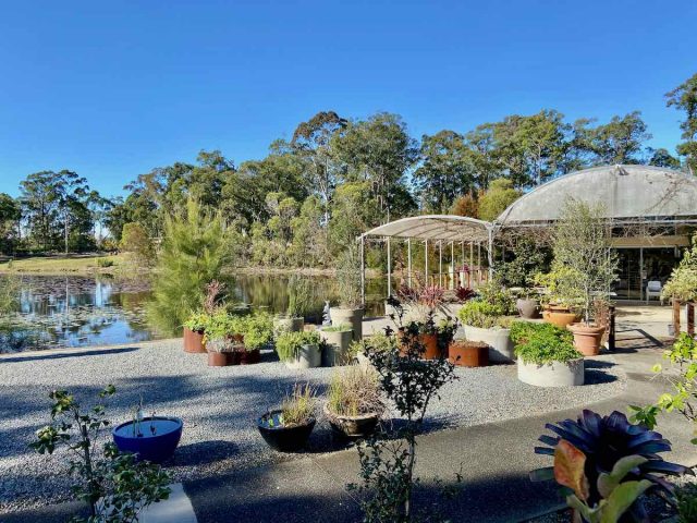 The tranquil Abundance Cafe in Port Macquarie