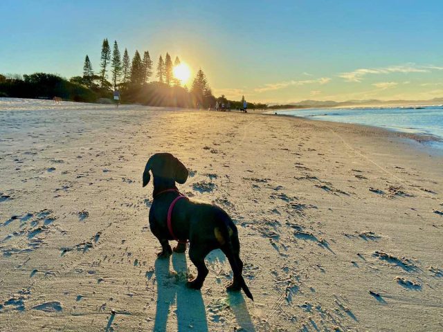 Christmas holidays in Australia