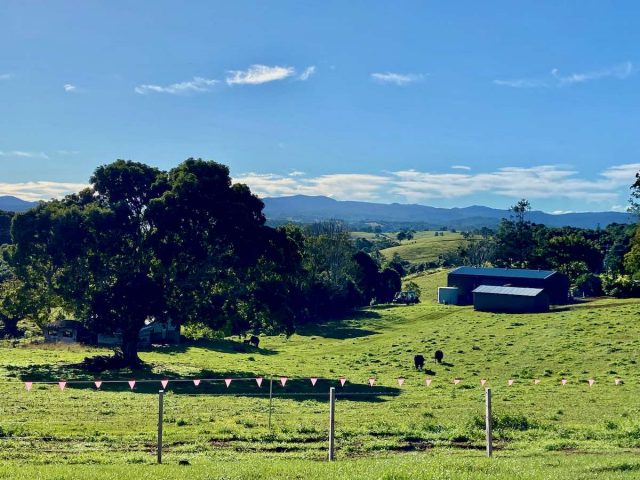 Looking across the Byron Bay Hinterland to Nightcap National Park