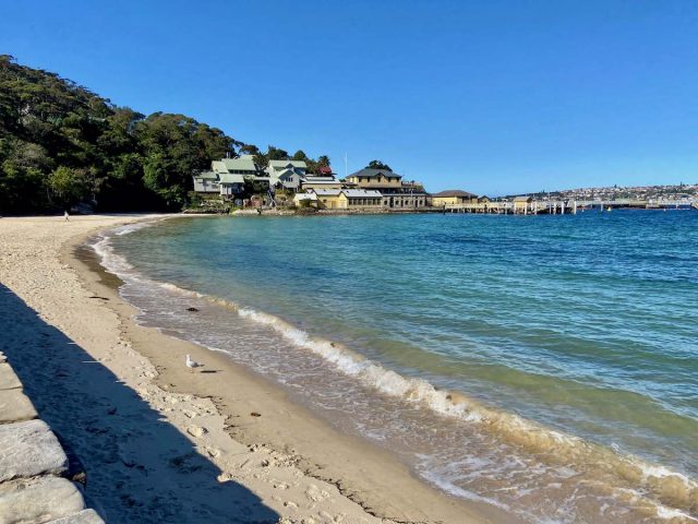 The dog beach at Clifton Gardens