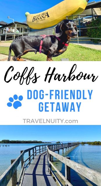 Dog-friendly Coffs Harbour
