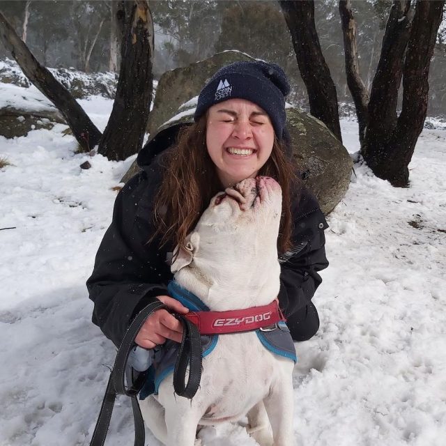 Dog at the snow at Corin Forest