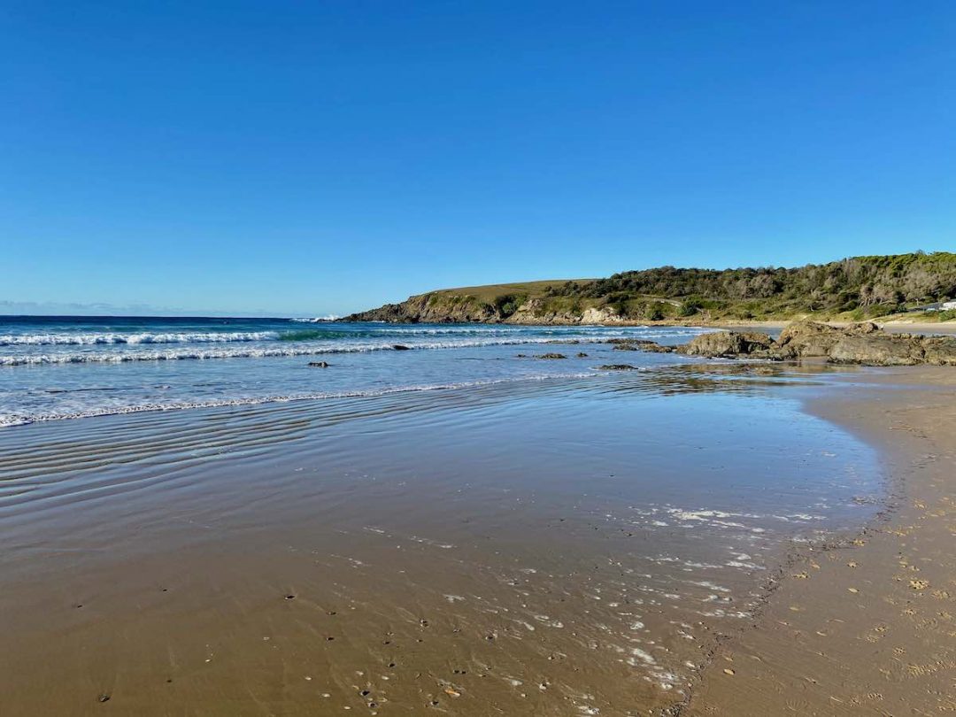 DogFriendly Coffs Harbour Visiting Coffs with a Dog Travelnuity