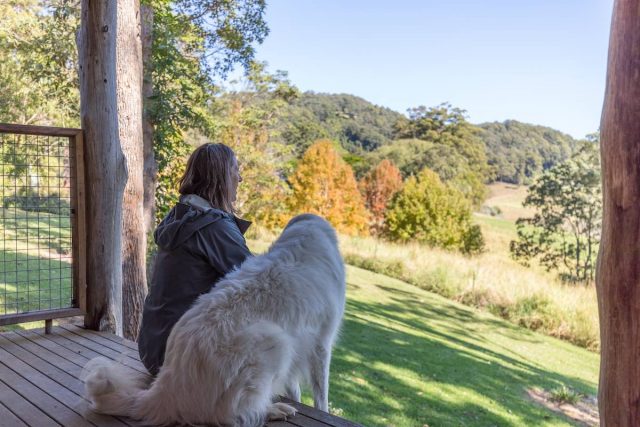 Dog and woman on verandah at Friday Creek Retreat