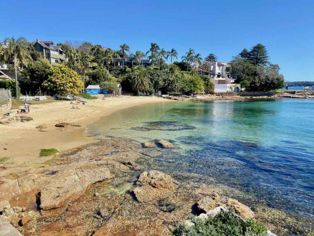 Dog beach Eastern Suburbs