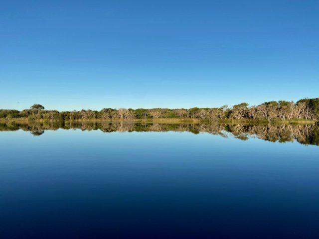 The tea tree lake in the wetland behind Ingenia Holidays Byron Bay