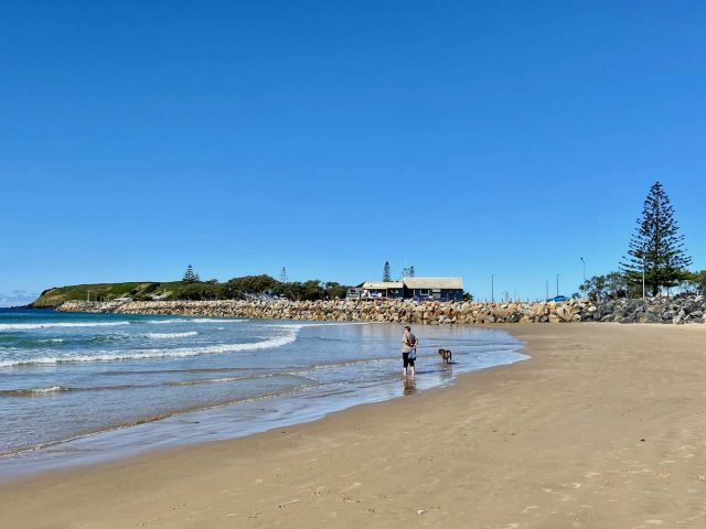 Dog-friendly Coffs Harbour