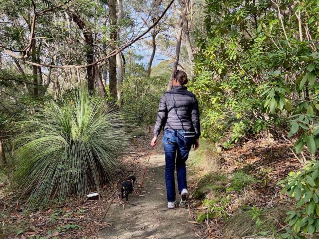 Walking in Campbell Rhododendron Gardens