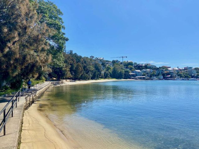 Bellamy Beach at Rose Bay Park