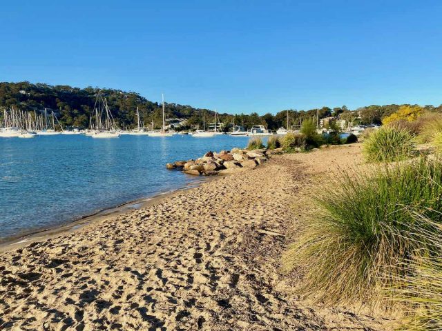 Bayview Dog Beach on Pittwater