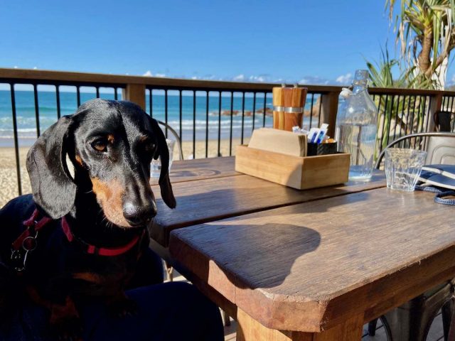 Beachfront dining at Sandbox Cafe