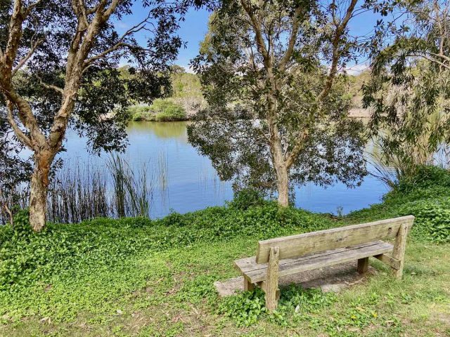 The off-leash dog reserve at Suffolk Park at Byron Bay