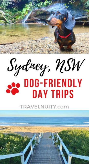 Sydney Dog-Friendly Day Trips pin