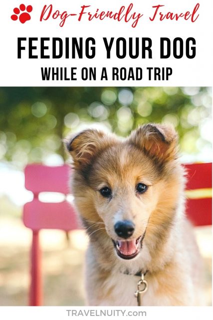 Feeding your dog while on a road trip pin