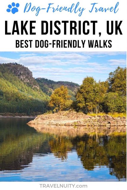 Lake District dog-friendly walks pin