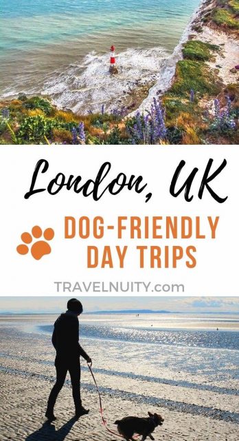 London, UK - Dog-Friendly Day Trips pin