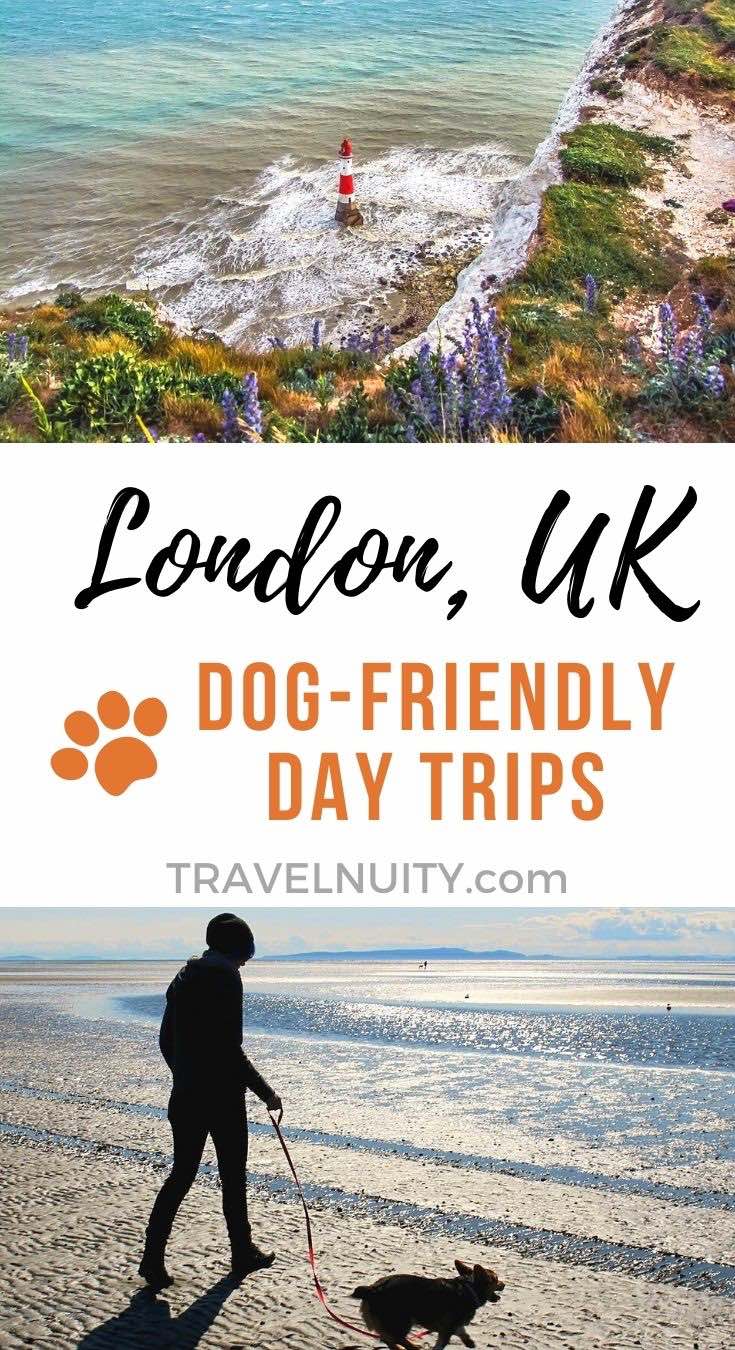 dog friendly day trip from london