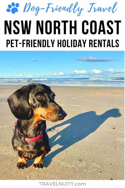 NSW North Coast Pet-Friendly Holiday Rentals pin