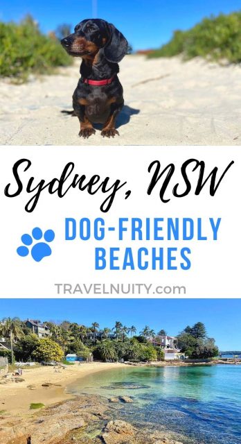 Sydney NSW Dog-Friendly Beaches pin