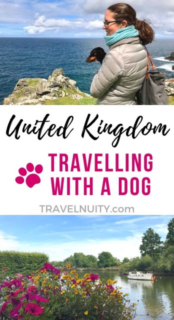 United Kingdom Travelling with a Dog pin