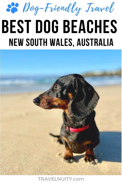 Best dog beaches in New South Wales, Australia pin