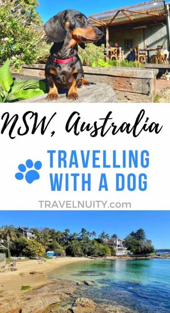 NSW Australia Travelling with a Dog pin