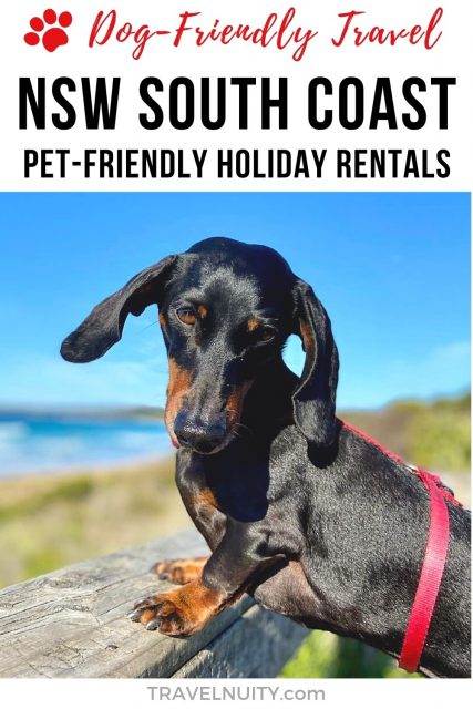 Pet-friendly holiday rentals on the NSW South Coast, Australia