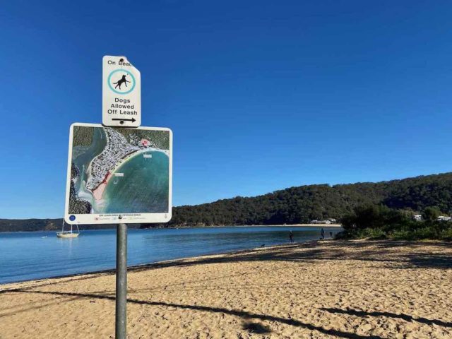 Patonga Beach Dogs Off Leash Sign