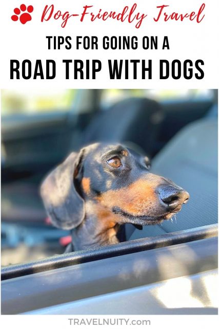 Tips for going on a road trip with dogs pin