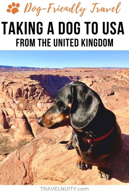 Pin: Taking a Dog to USA from UK