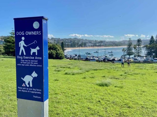 Terrigal Haven Off-Leash Dog Exercise Area