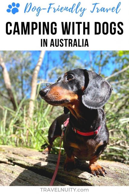 Pin: Camping with dogs in Australia