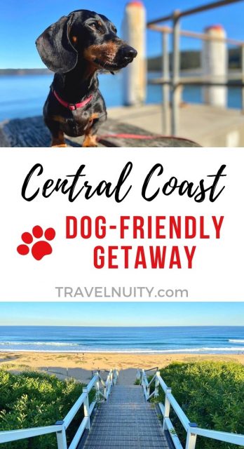 Central Coast Dog-Friendly Getaway pin