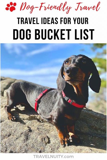 Dog Bucket List pin