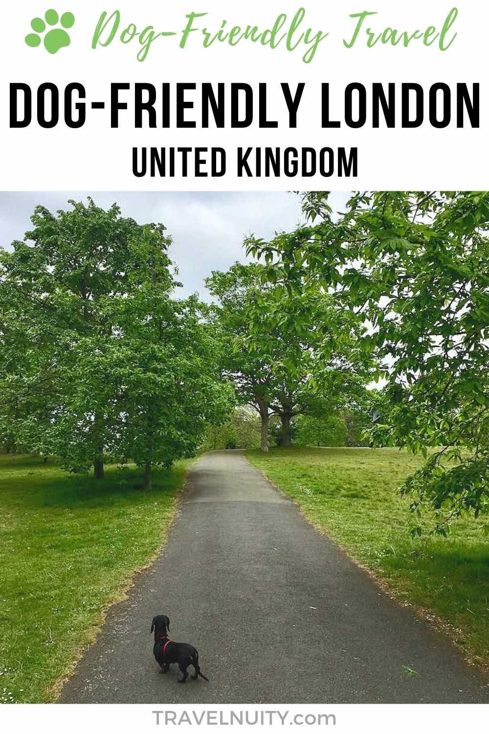 DogFriendly London Visiting London with a Dog Travelnuity