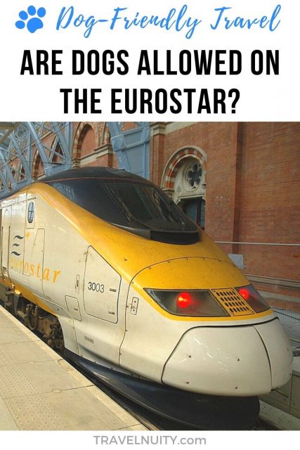 can my dog travel on eurostar