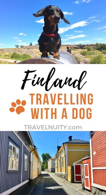 Dog-friendly Finland pin