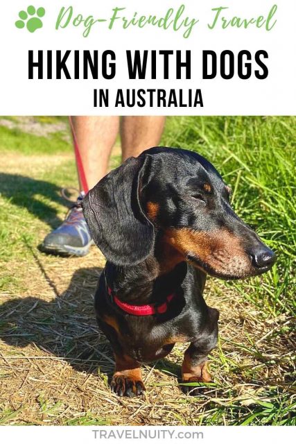 Hiking with Dogs in Australia pin
