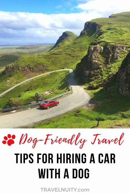 Tips for hiring a car with a dog