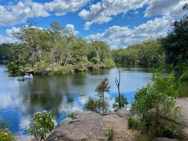 Lake Parramatta Circuit, a dog-friendly hike in NSW