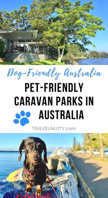 Pin - Pet-friendly caravan parks in Australia