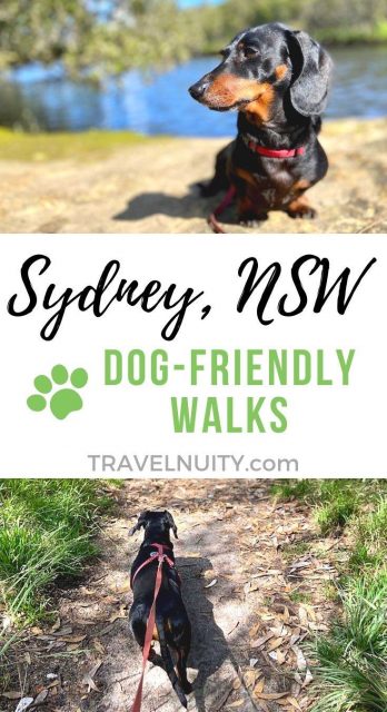 Sydney NSW Dog-Friendly Walks pin