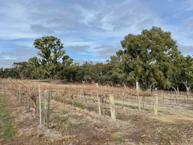 Clare Valley