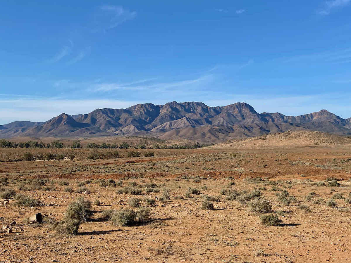 DogFriendly Flinders Ranges Visiting with a Dog Travelnuity