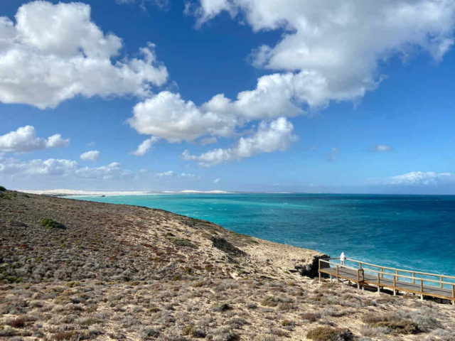 Head of Bight Whale Watching