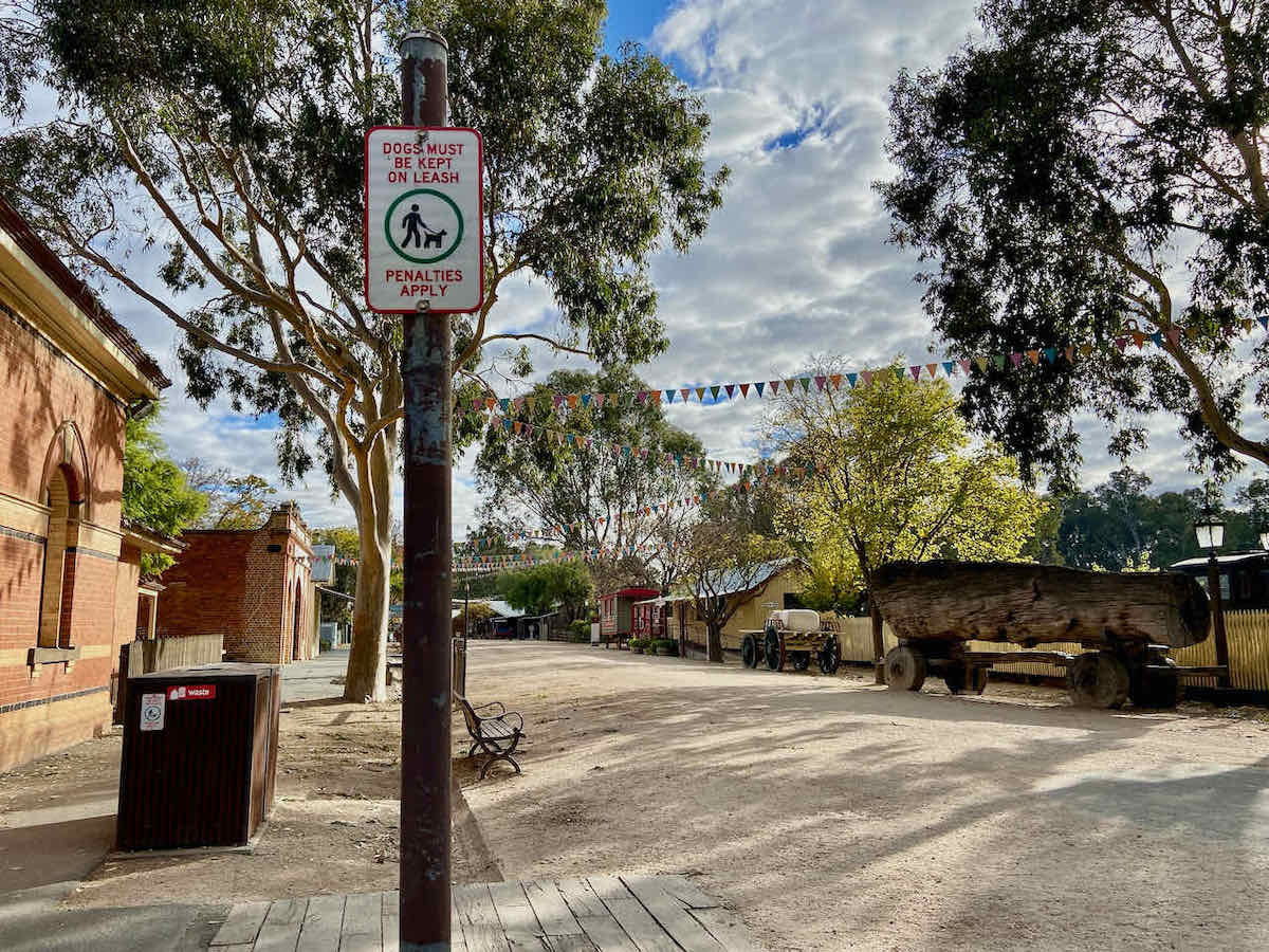 DogFriendly Echuca Visiting Echuca with a Dog Travelnuity