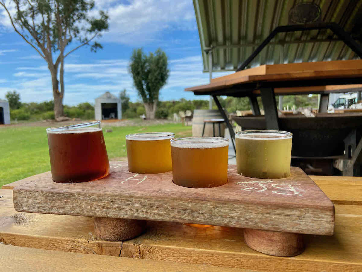 DogFriendly Esperance Visiting Esperance with a Dog Travelnuity