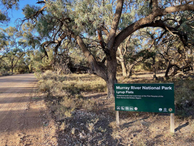Lyrup Flats - Murray River National Park
